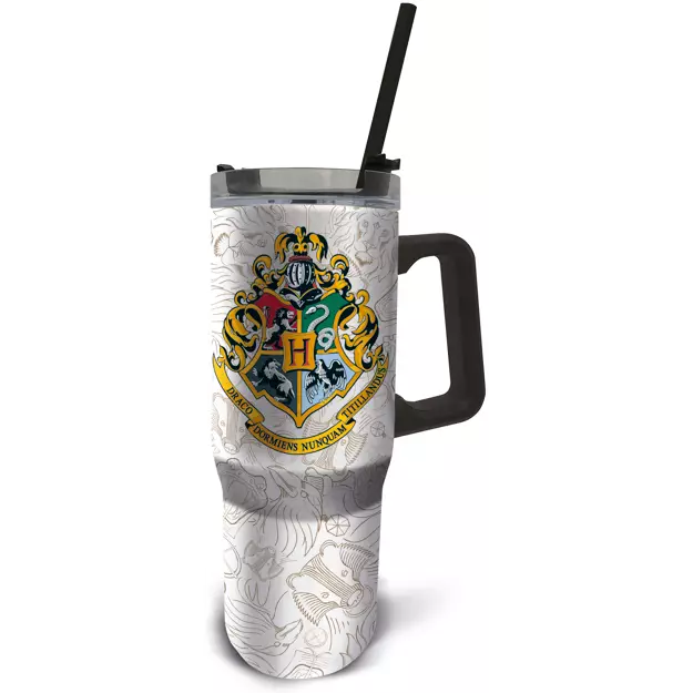 Harry Potter Young Adult DW Insulated Stainless Steel XXL Rambler Mug
