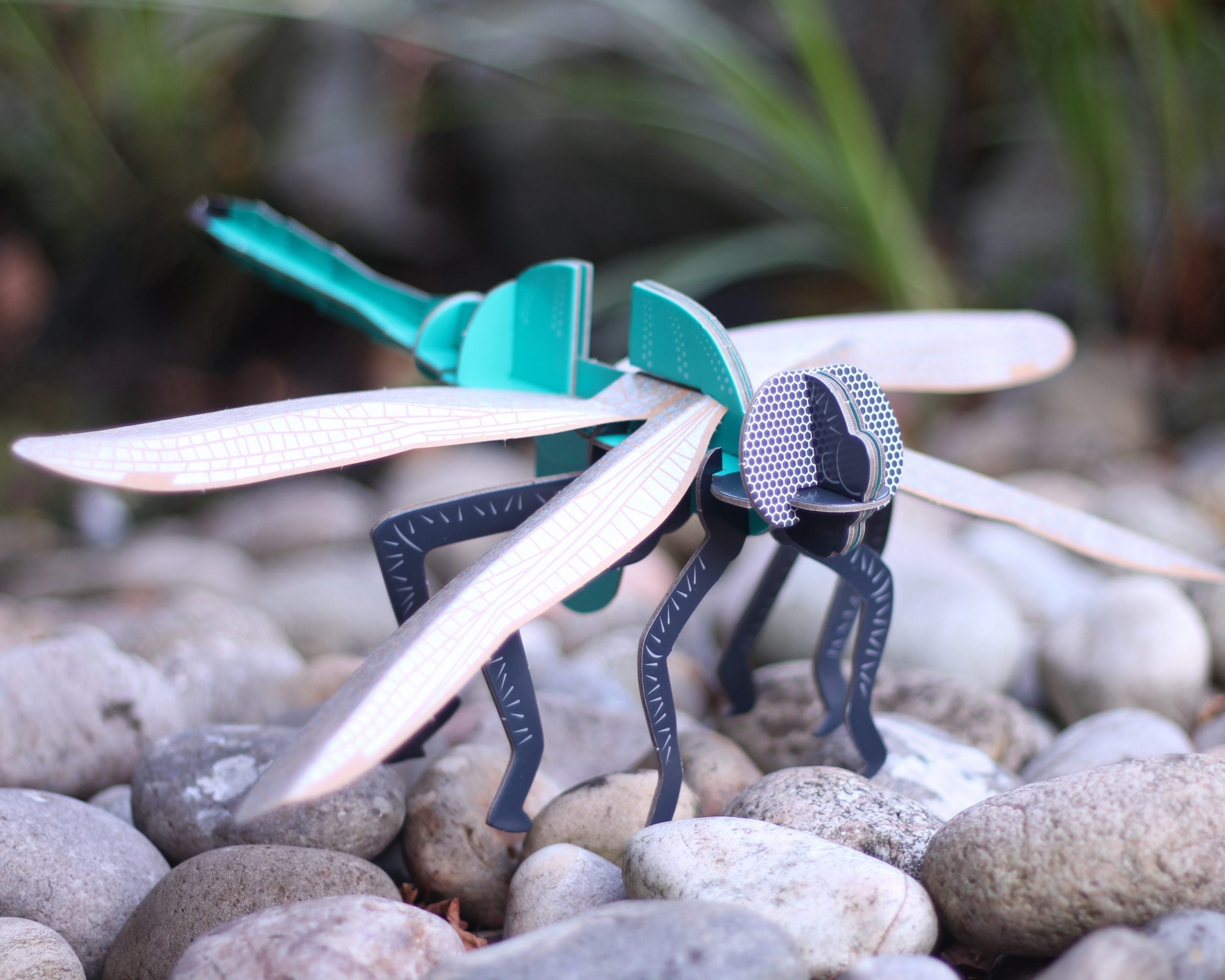 Dragonfly - Build Your Own