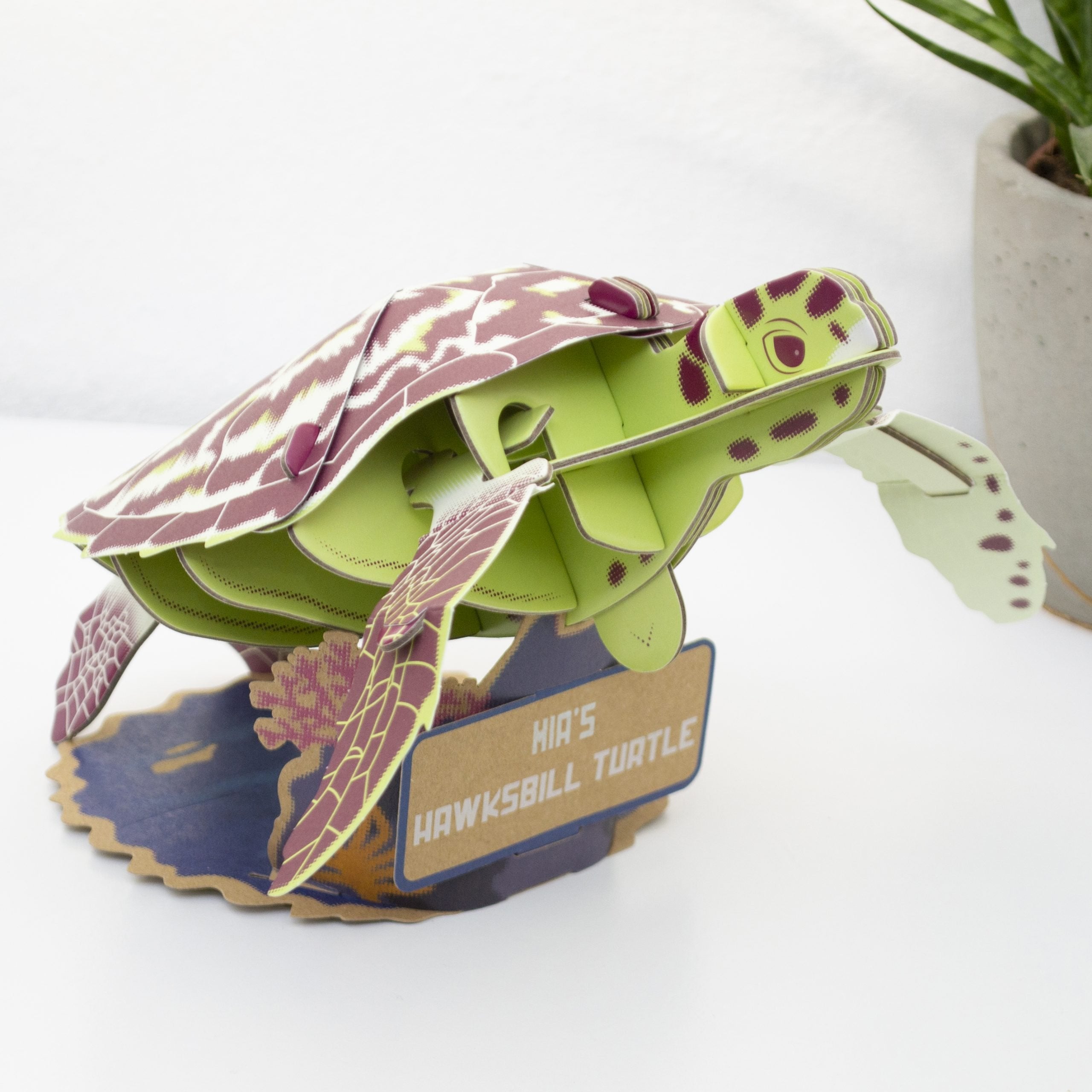 Hawksbill Turtle - Build Your Own