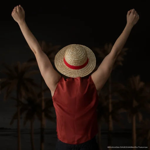 One Piece Luffy Straw Hat