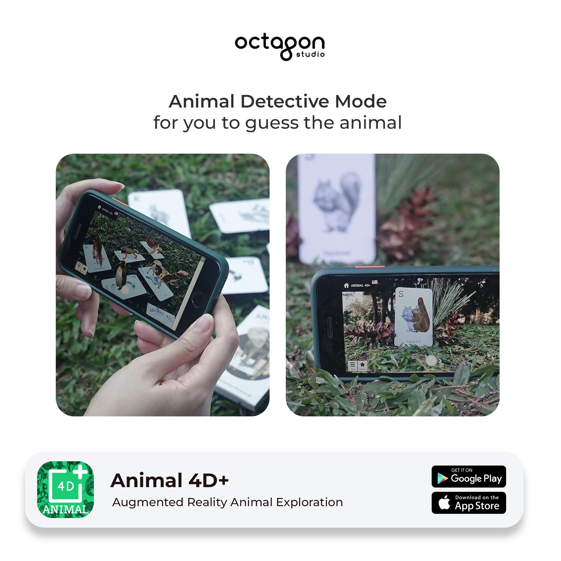 Animal 4D+ Augmented Reality Cards
