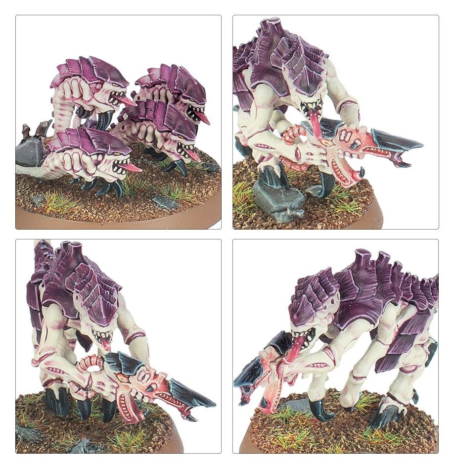 WARHAMMER 40000: INTRODUCTORY SET