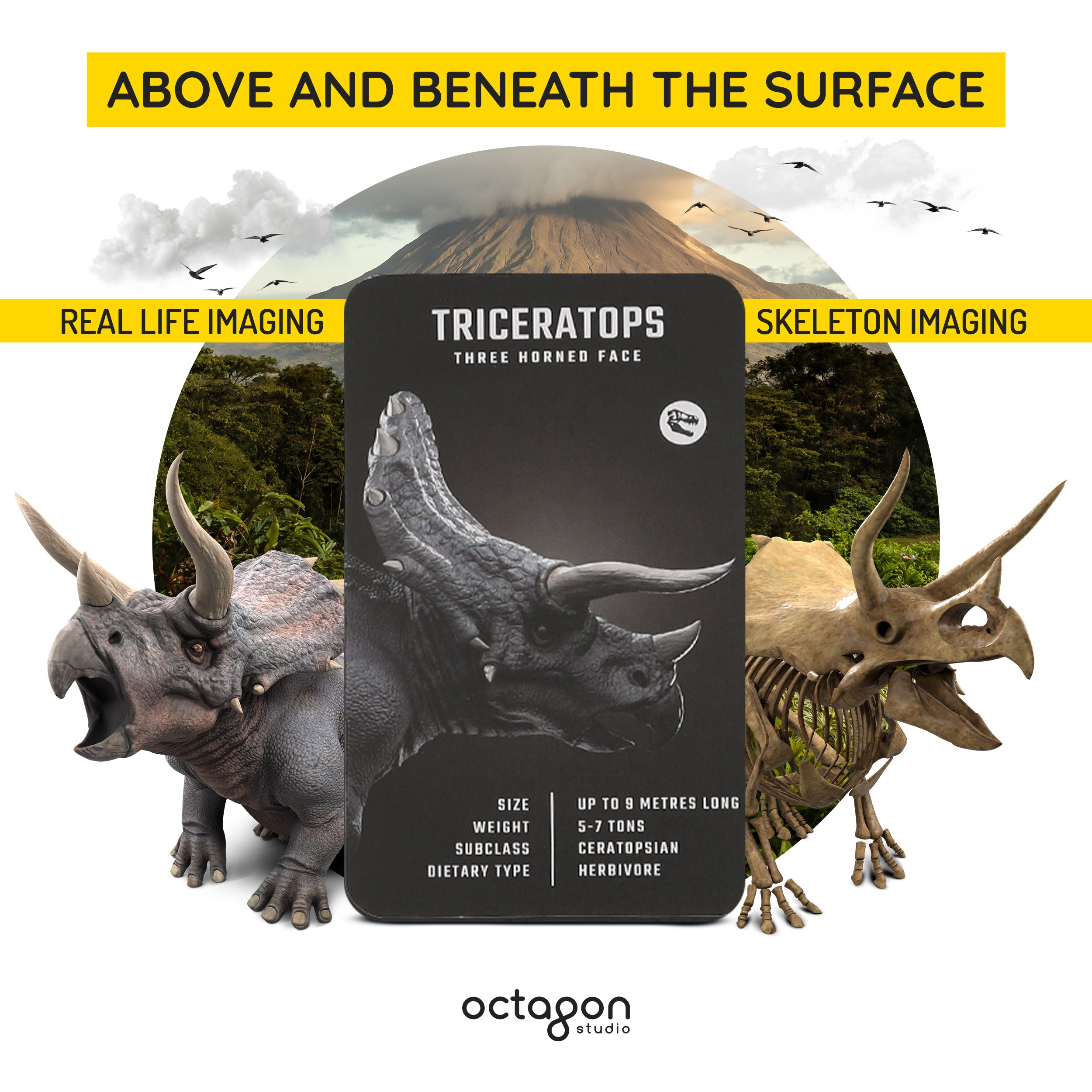 Dinosaur 4D+ Augmented Reality Cards