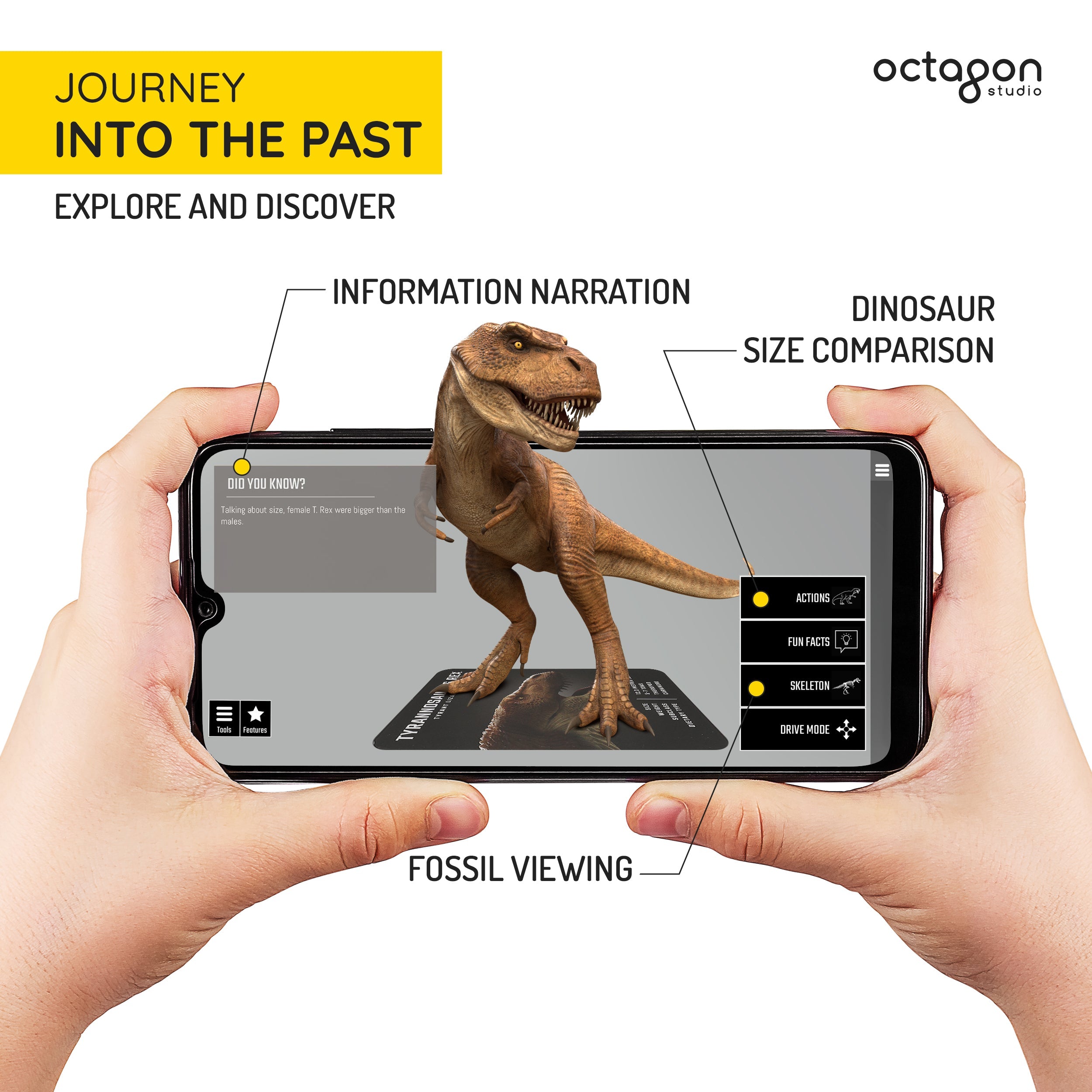 Dinosaur 4D+ Augmented Reality Cards