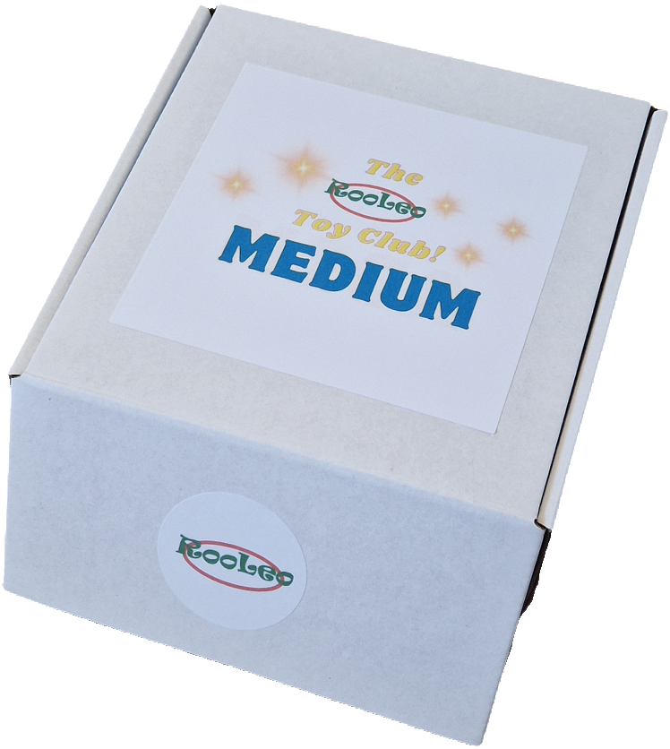 The Toy Club - Medium Box - Circa 8 Products Included - Boys Or Girls