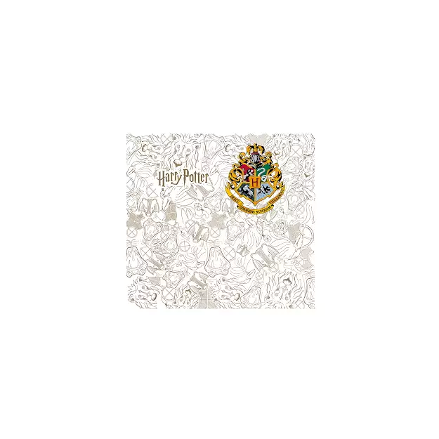 Harry Potter Young Adult DW Insulated Stainless Steel XXL Rambler Mug